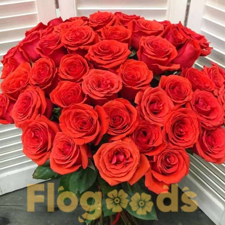 51 красная роза за 19 580 руб.